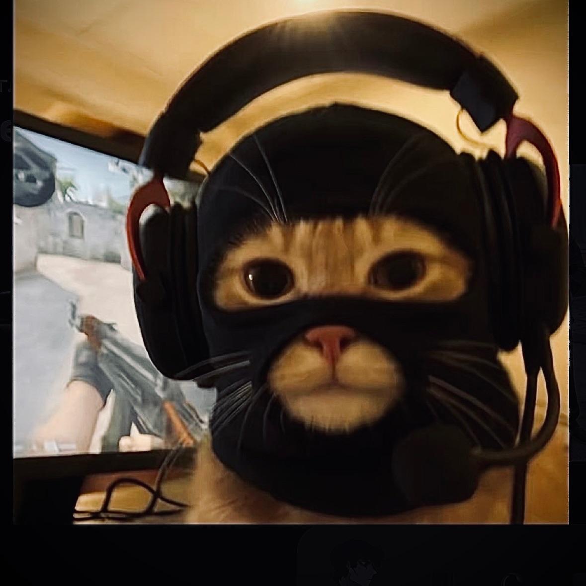 QA1DUN avatar