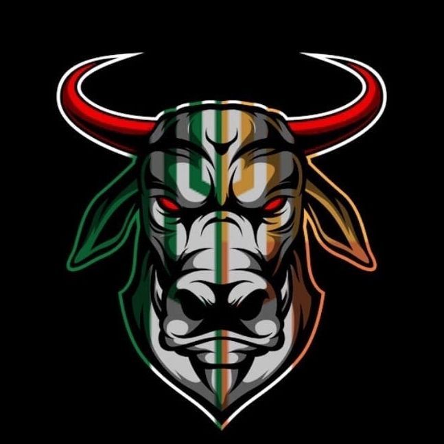 TeamBulls