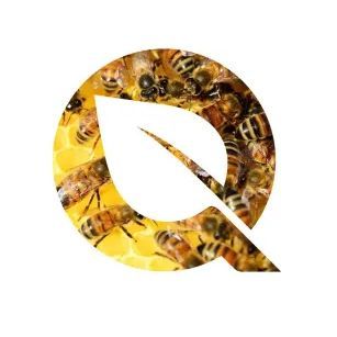CaruCaru