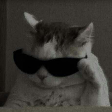 znzns avatar