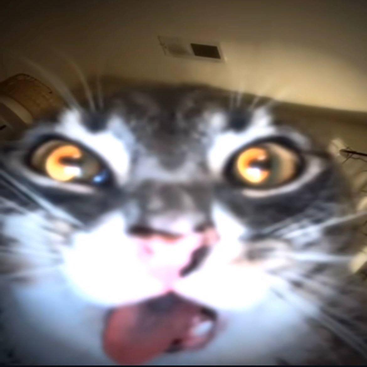 proFasty avatar