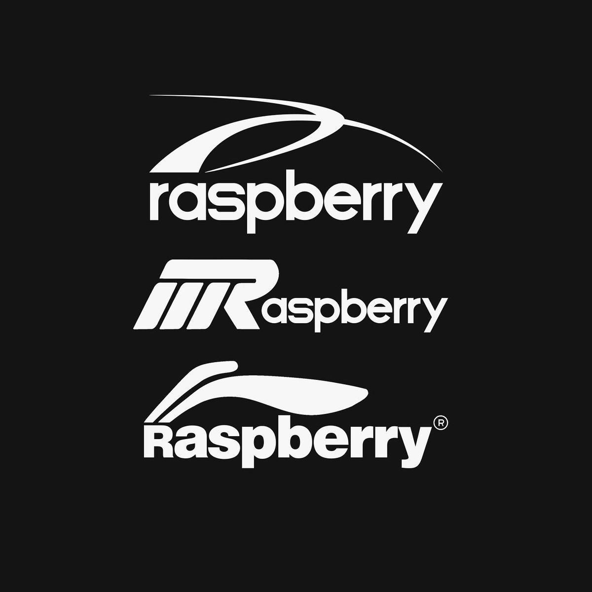 team_Raspberry99