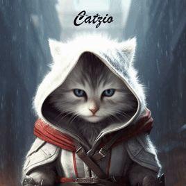 Player Catzio avatar