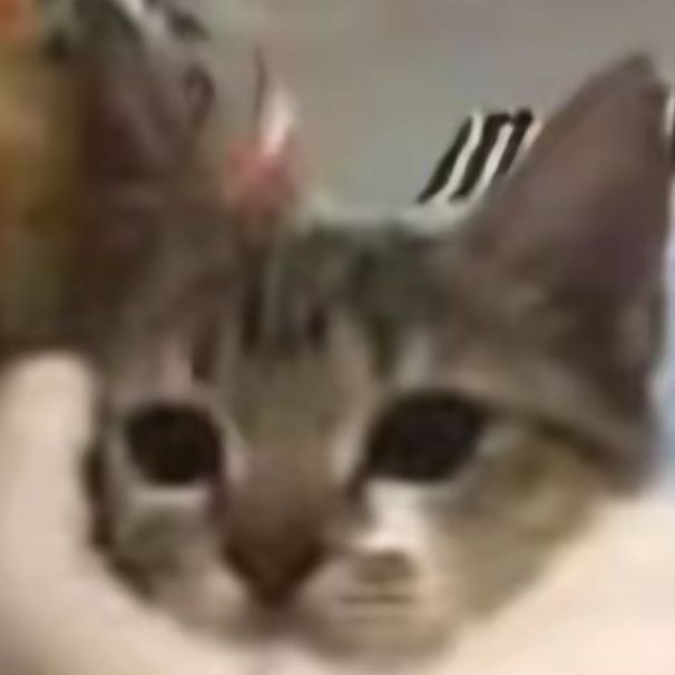 luluovo