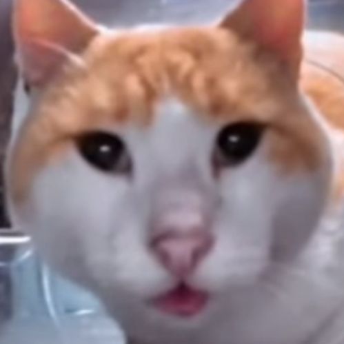 -Adas-
