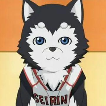 KuroTe avatar