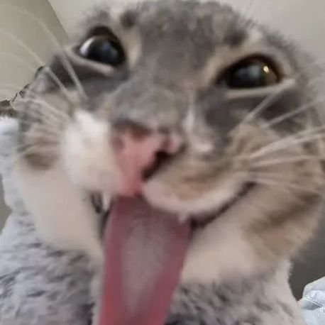 Shilow