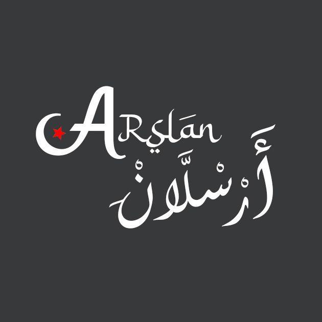 ARSLAN_Dz avatar