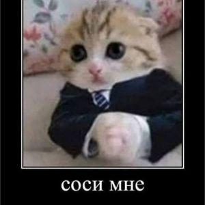 Kaptoblya avatar