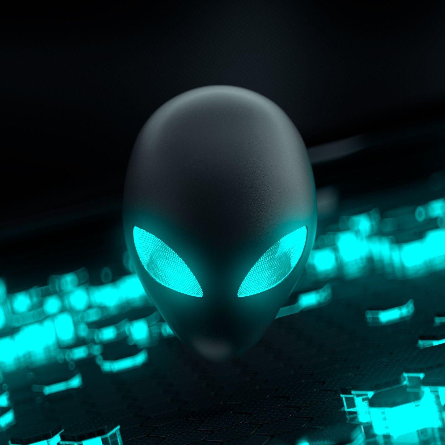 53Xi avatar