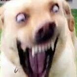 Pabhn avatar