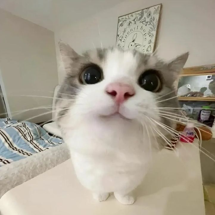 fsggf3