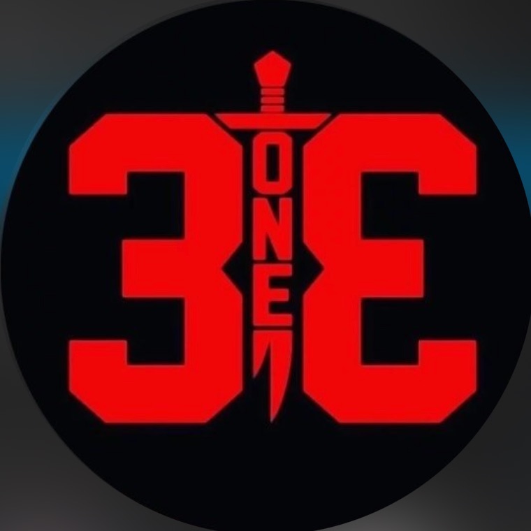 team_Borz313_