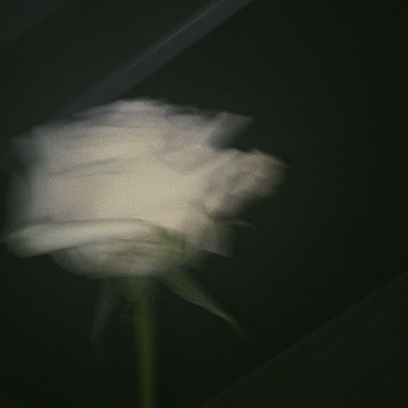 abch0u