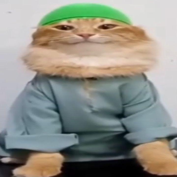 SL1N4n avatar