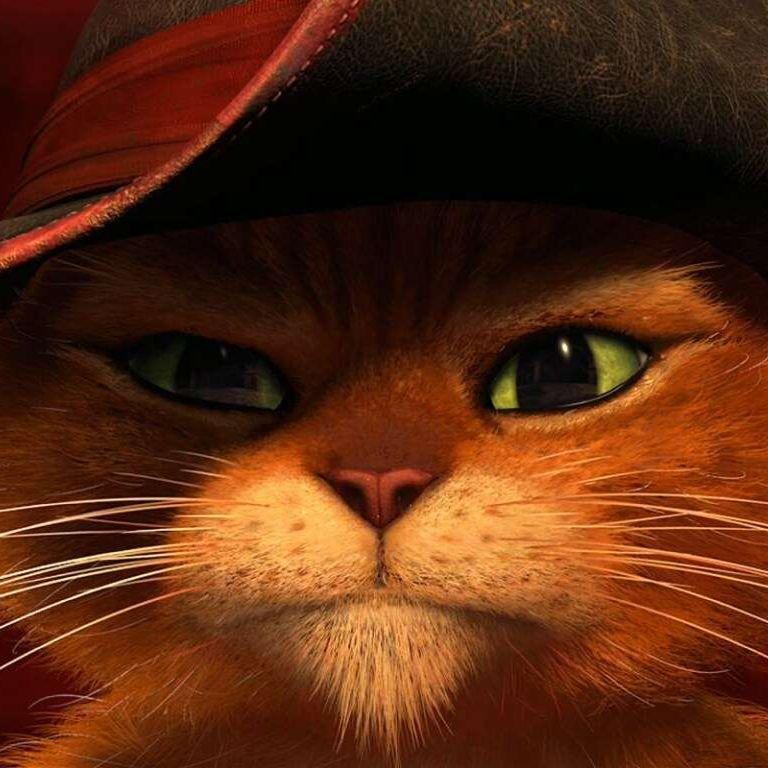 Velk0t avatar