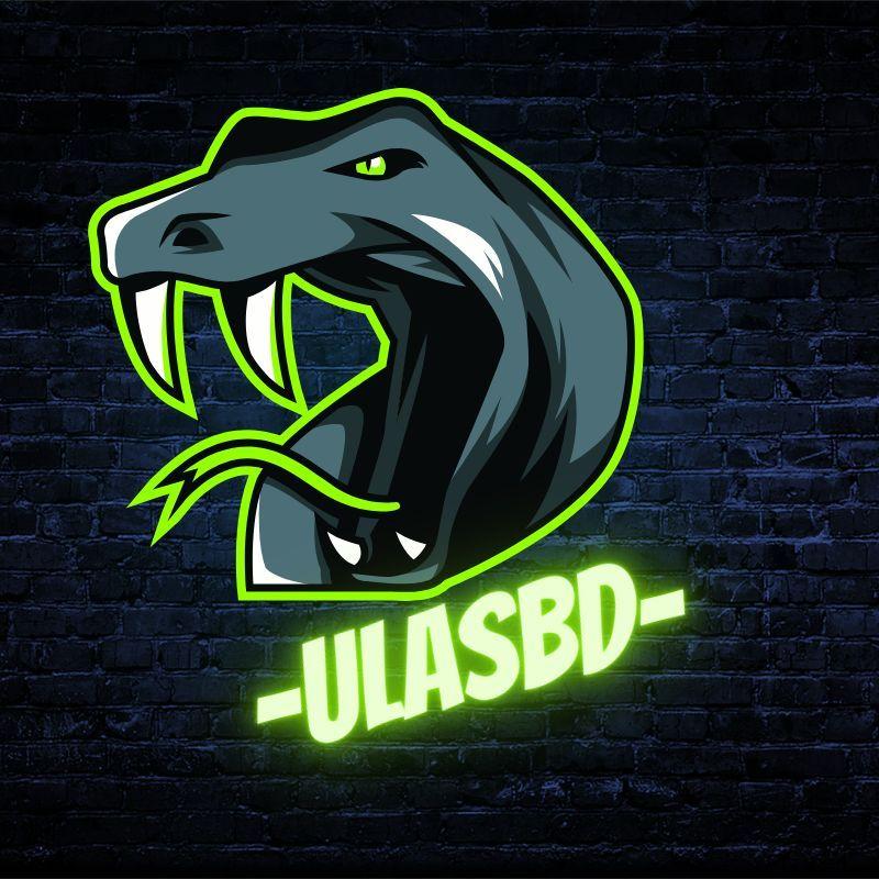 ulasbd avatar