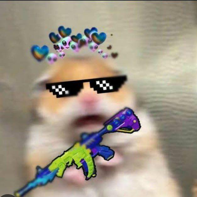 -xype
