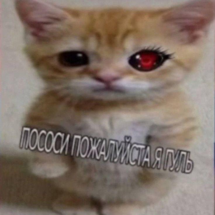 ili0n