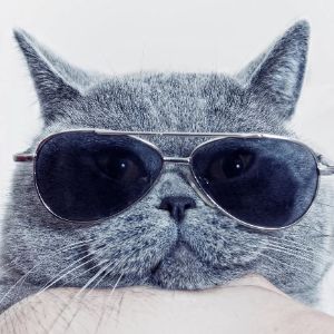 keRch2k avatar