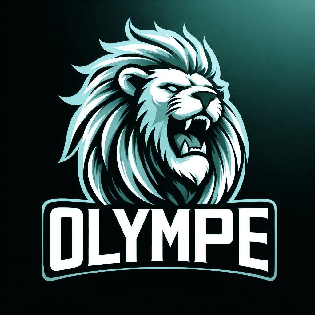 RayaneLuffy avatar