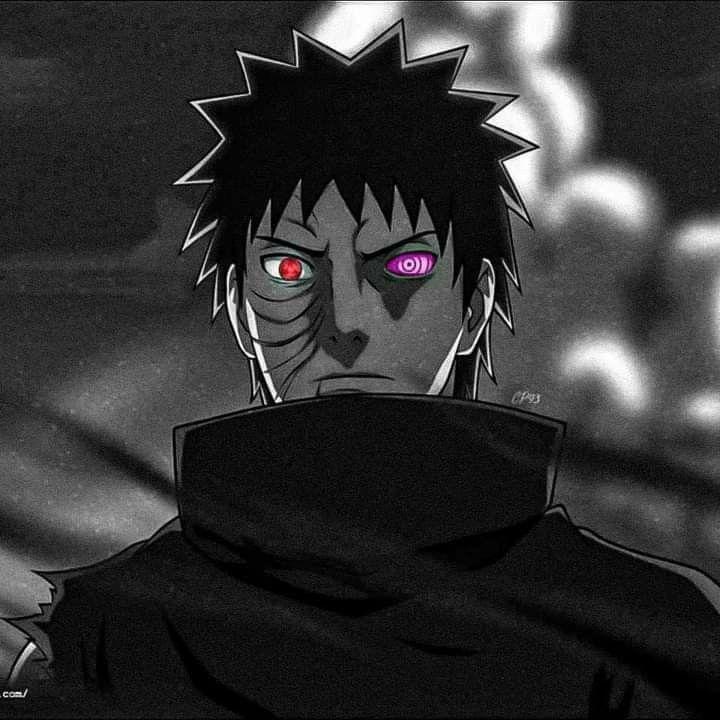 -SENSEi-_-