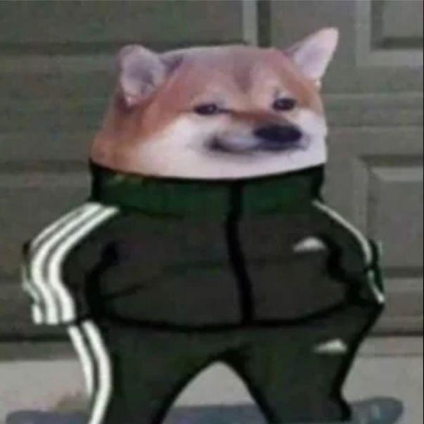 sHroomy- avatar