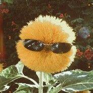 RumNirler avatar