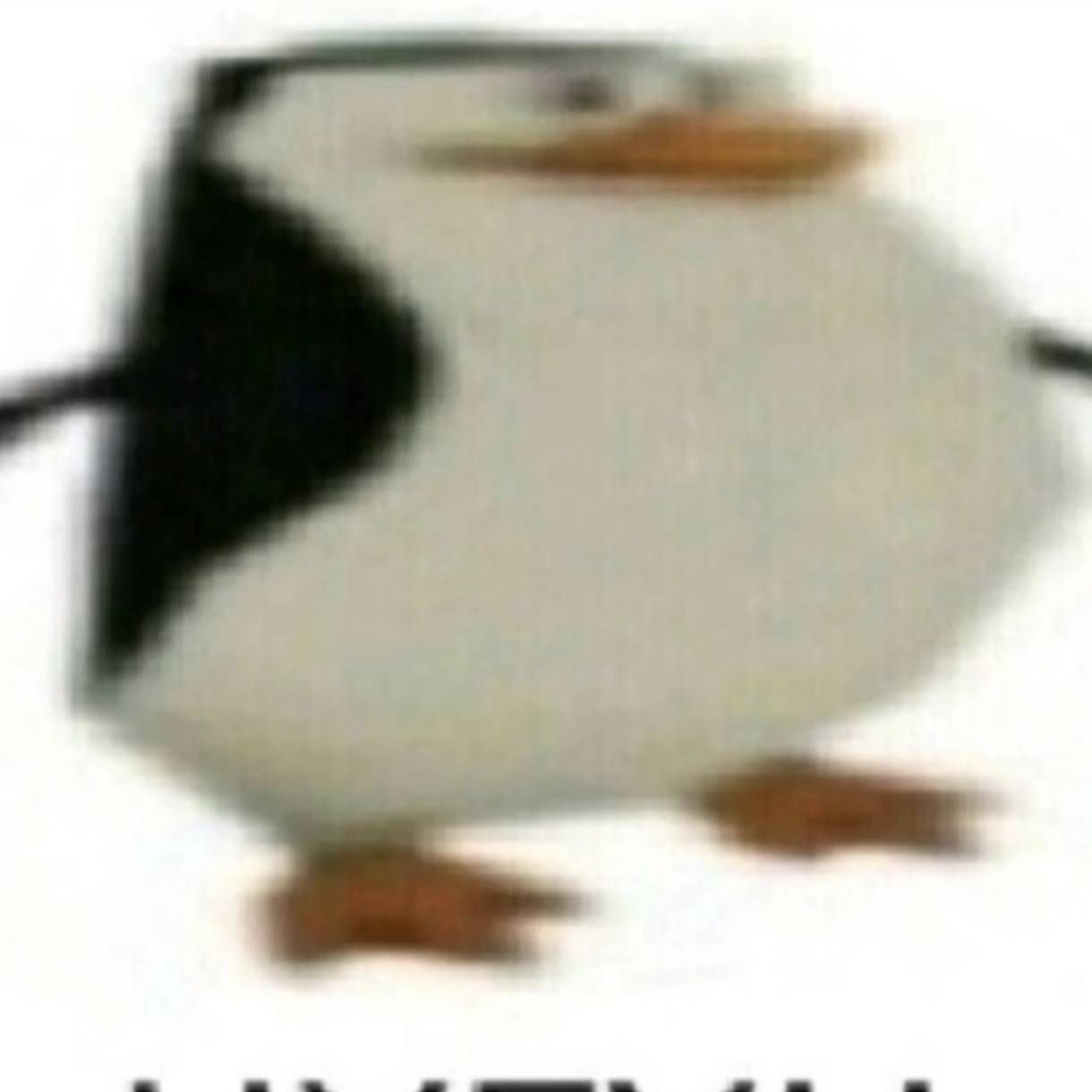 Do_Kva