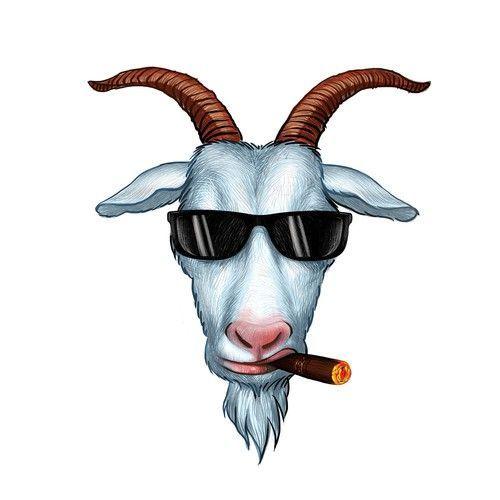 Pitly avatar