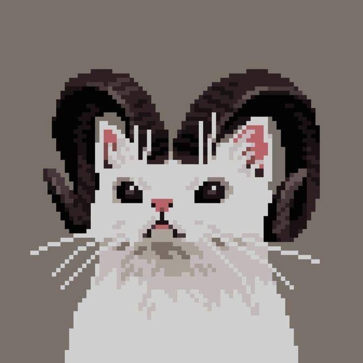 Dachi avatar