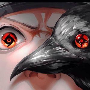 danile_253 avatar