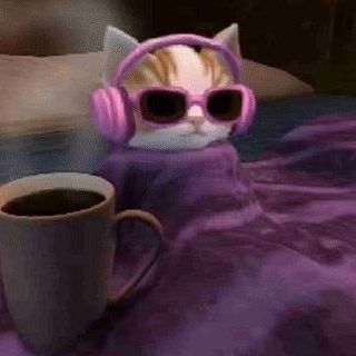 v1_shnya