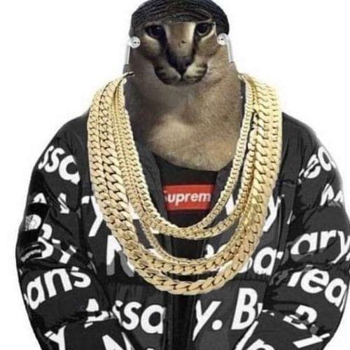 Iensmannen avatar
