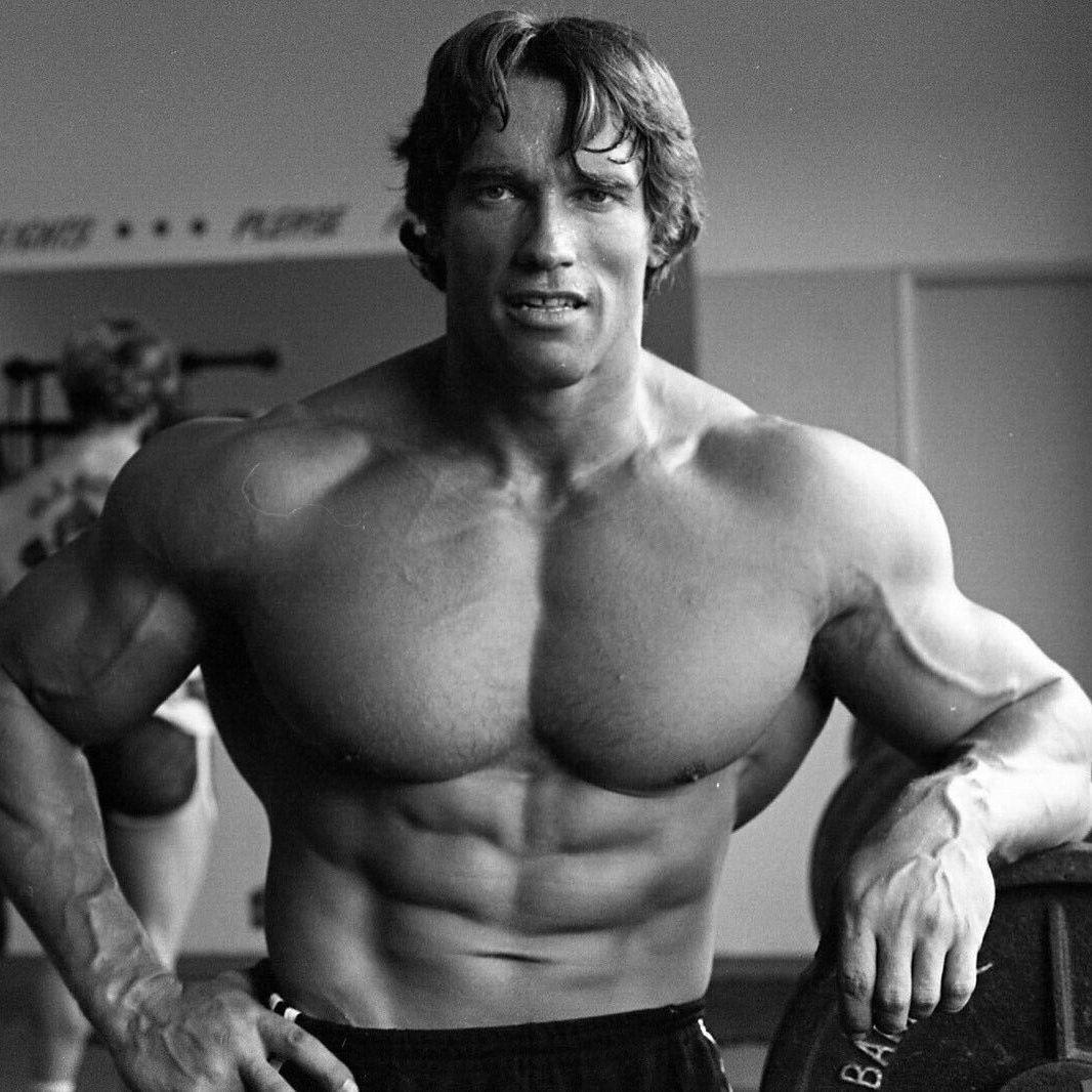 endomorph__ avatar