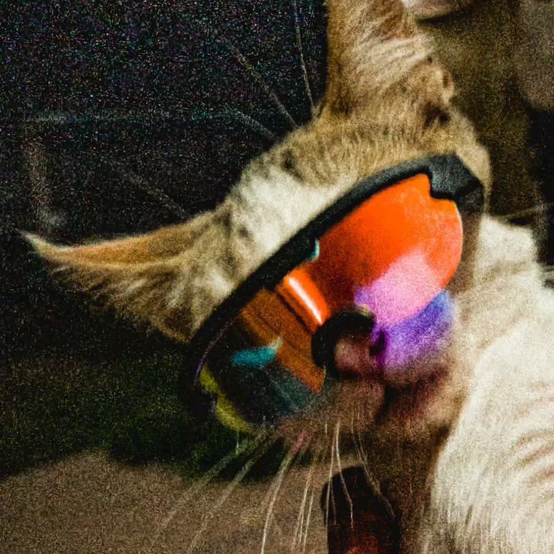 hoho-_-