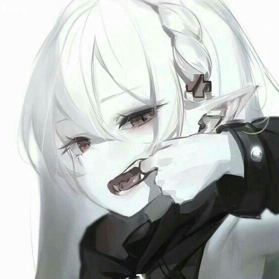 R1SEKI avatar