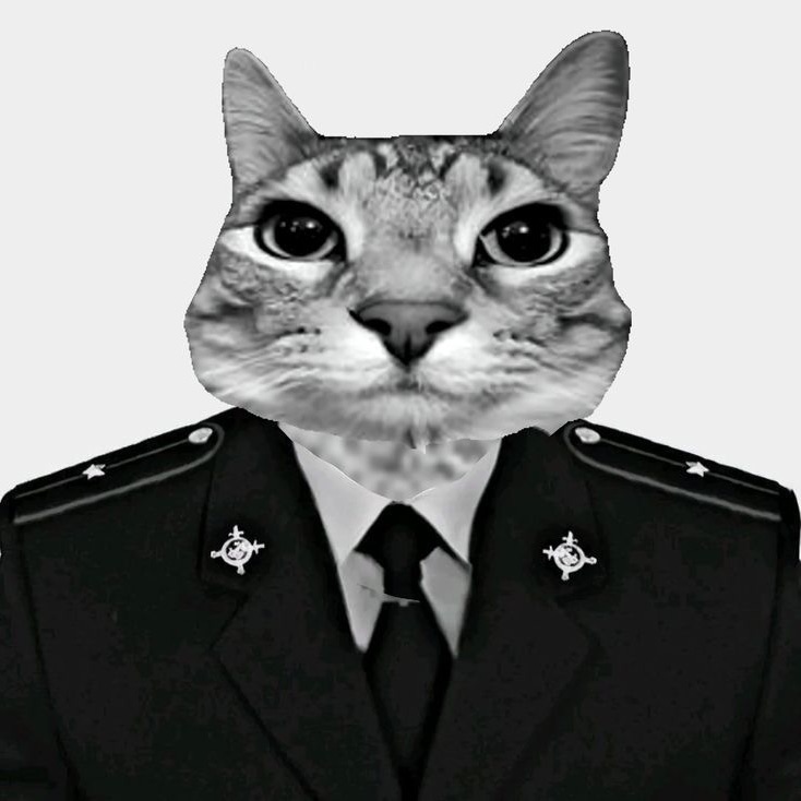 pvshkin