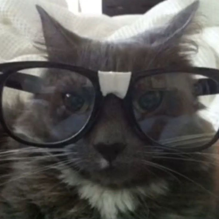BdpAlejandro avatar