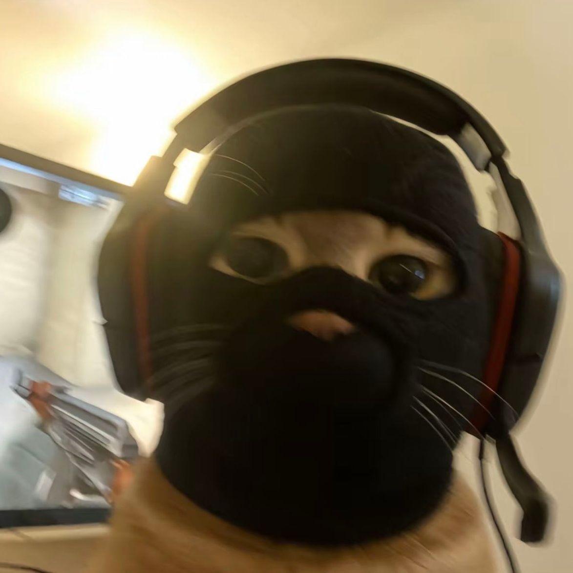 wMarcoExe avatar