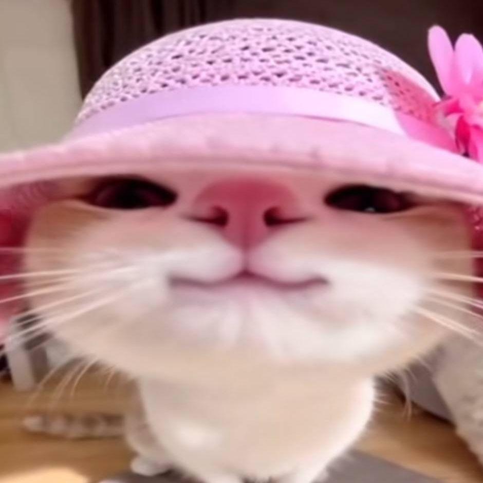KYKYPY34 avatar