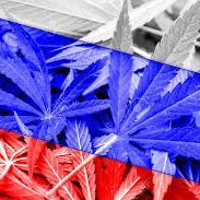 russia420