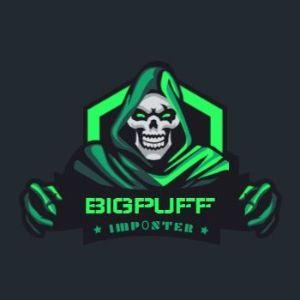 Player BiGPuFf_0 avatar