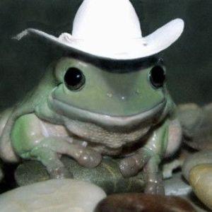 spleshy avatar