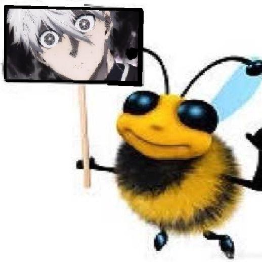 skdsh1 avatar