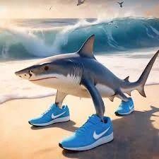 icetwicewalk avatar