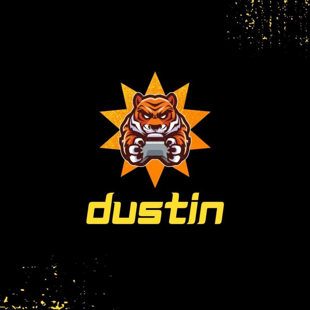Player -dustiN avatar