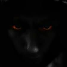 ShadowHel avatar