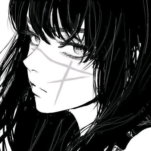 Deipi