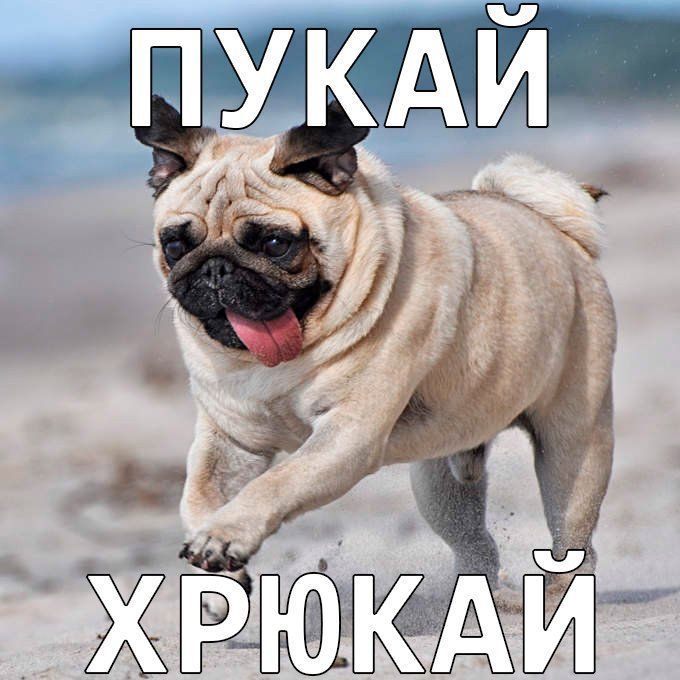 dertakanw